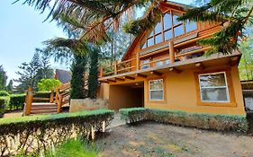 Toscana Log Home